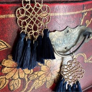 Francesca‘s tassel earrings in navy blue